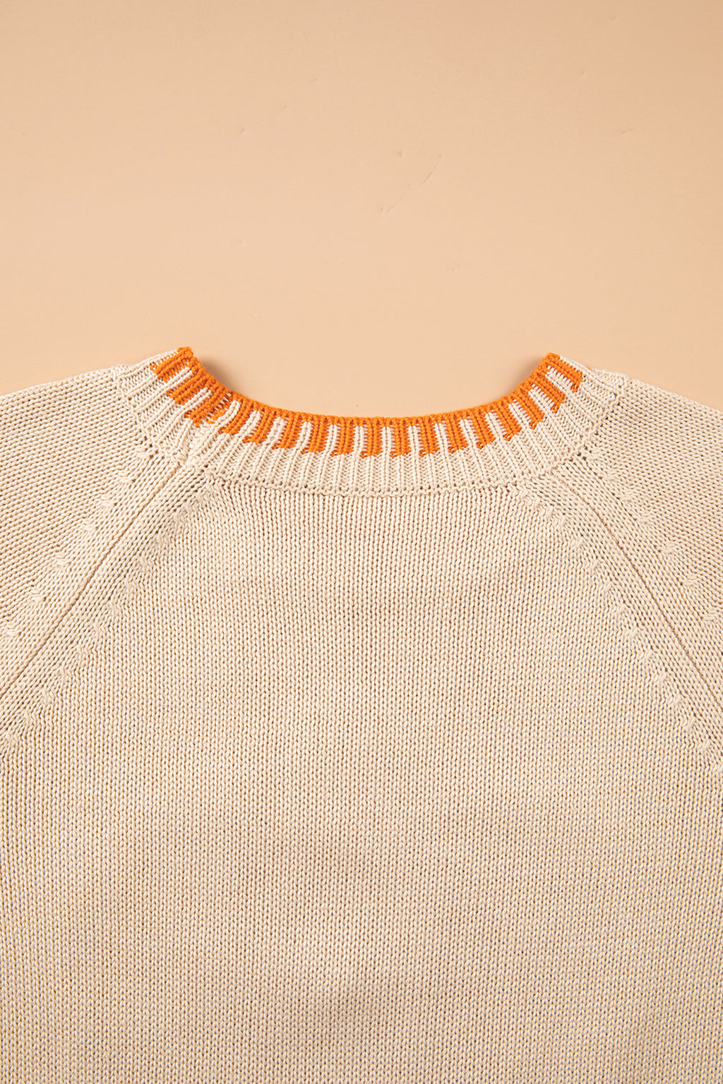 *Parchment Floral Embroidery Pumpkin Long Sleeve Round Neck Sweater