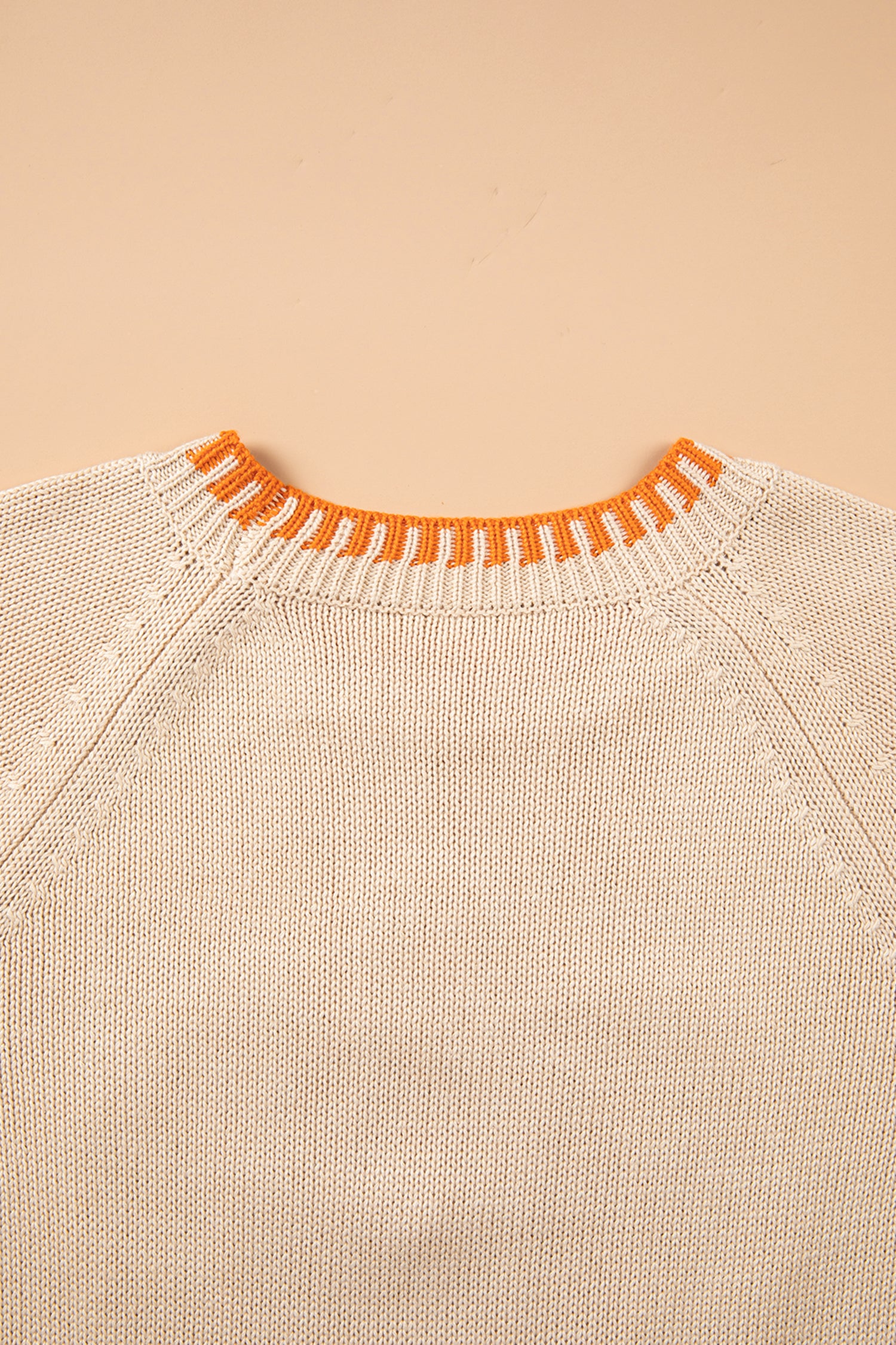 *Parchment Floral Embroidery Pumpkin Long Sleeve Round Neck Sweater