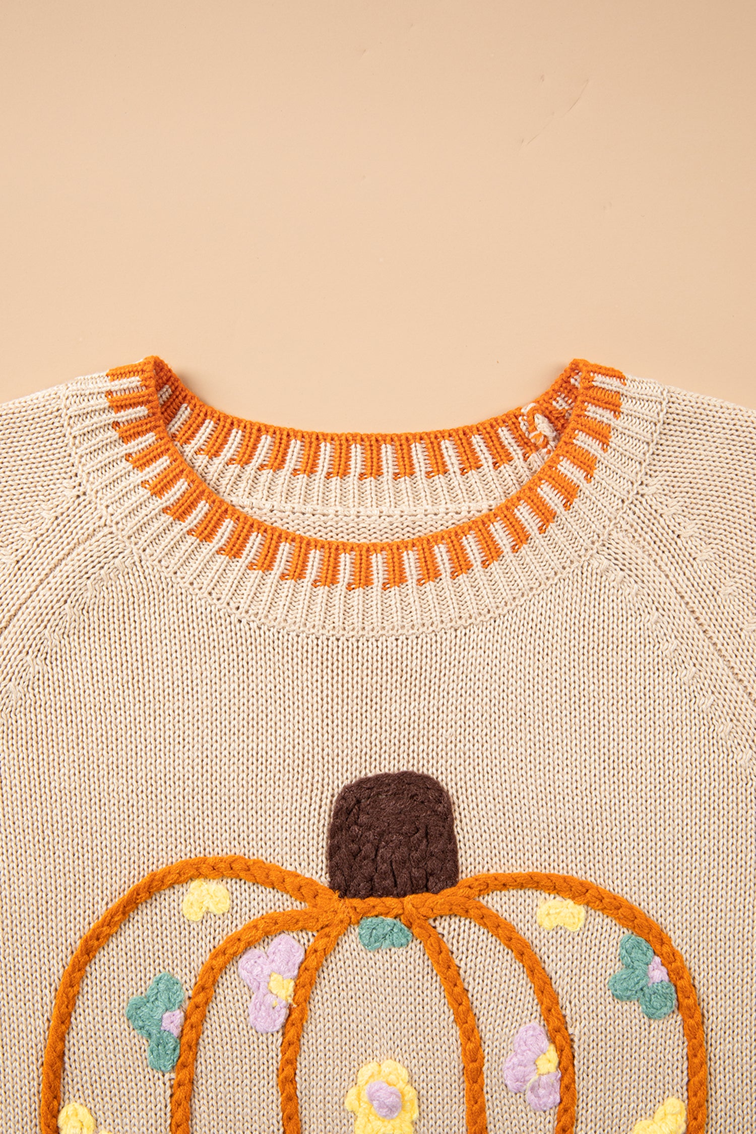 *Parchment Floral Embroidery Pumpkin Long Sleeve Round Neck Sweater
